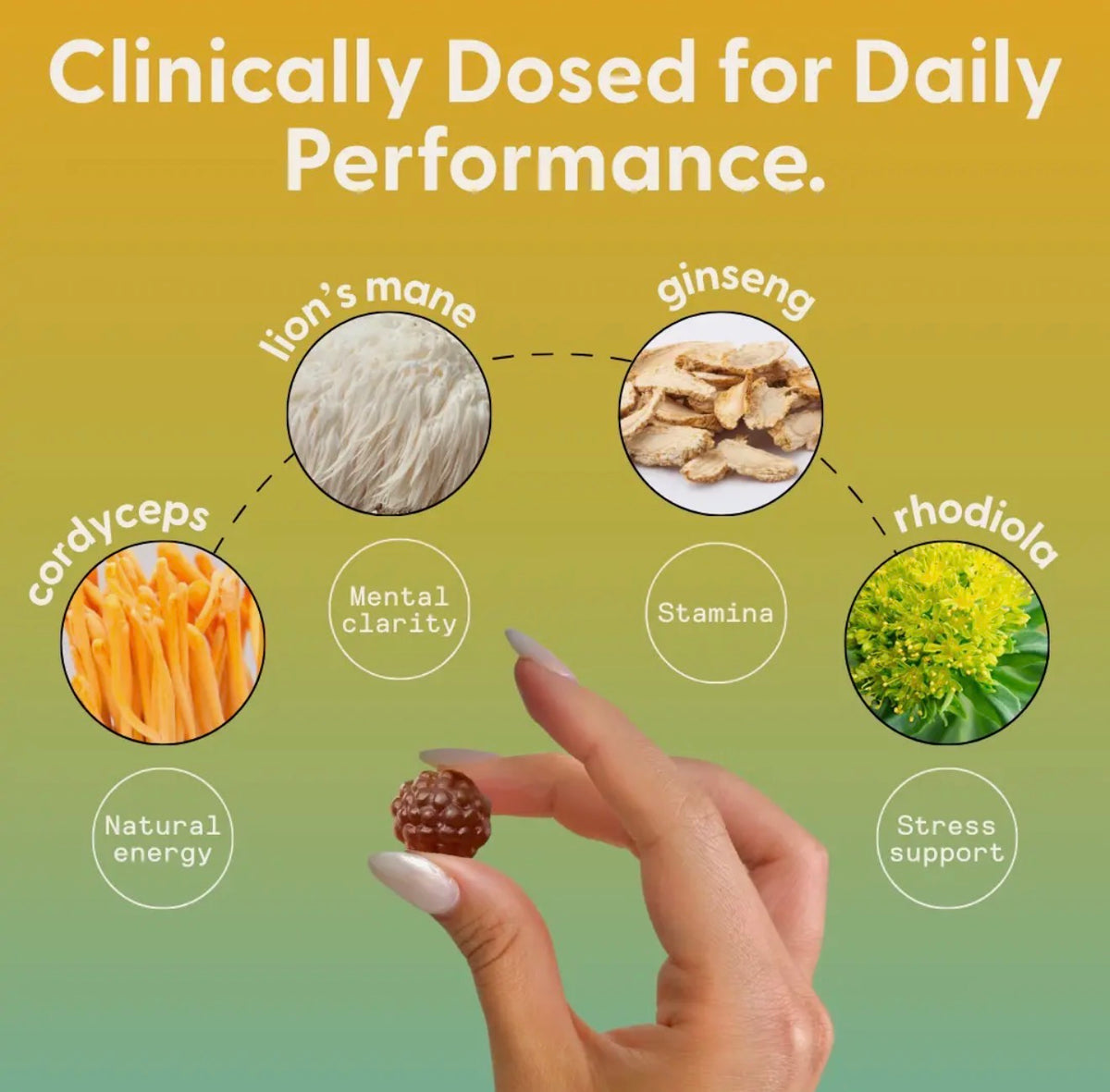 SuperMush - Daily Energy Gummies