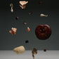 NOON Chocolate Delights • In The Zone