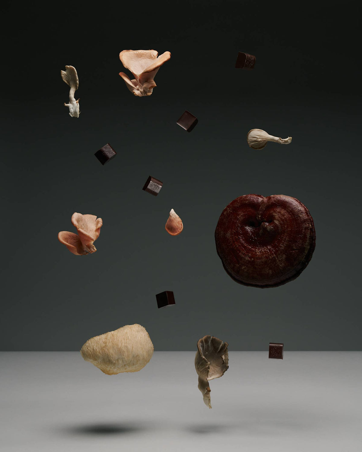 NOON Chocolate Delights • In The Zone